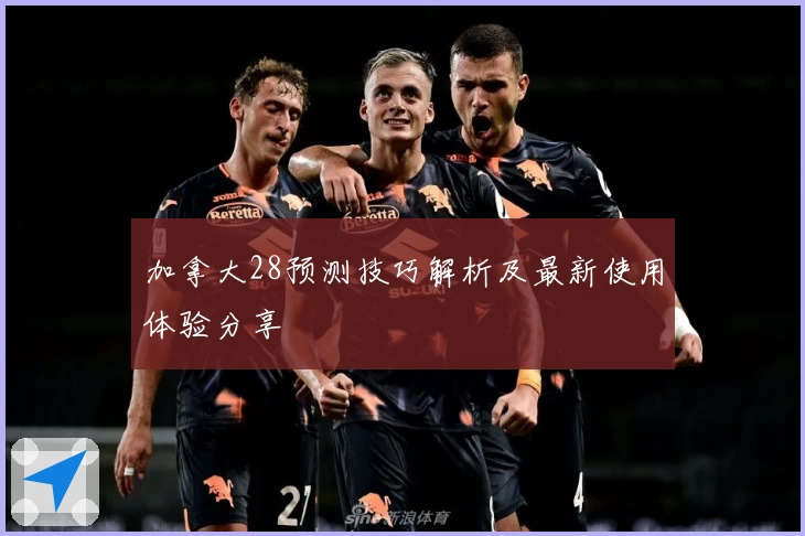 加拿大28预测技巧解析及最新使用体验分享
