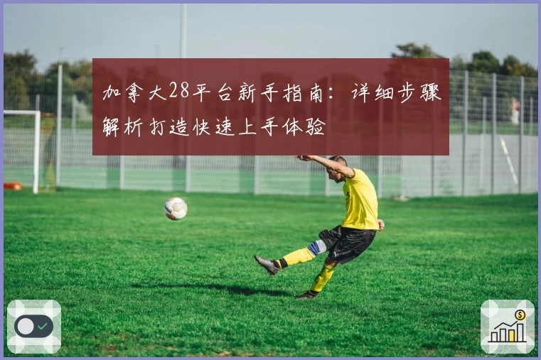 加拿大28平台新手指南：详细步骤解析打造快速上手体验