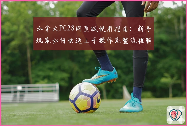 加拿大PC28网页版使用指南：新手玩家如何快速上手操作完整流程解析