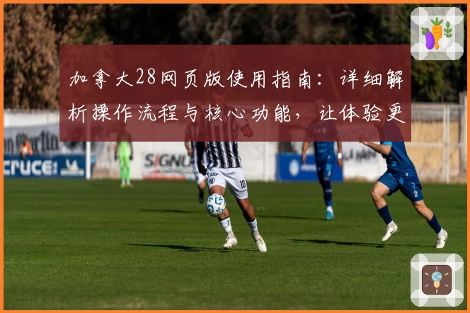 加拿大28网页版使用指南：详细解析操作流程与核心功能，让体验更便捷