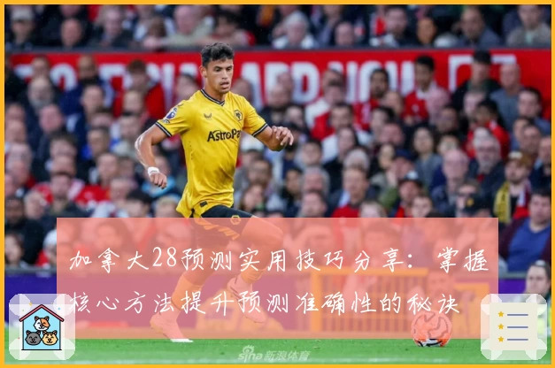 加拿大28预测实用技巧分享：掌握核心方法提升预测准确性的秘诀