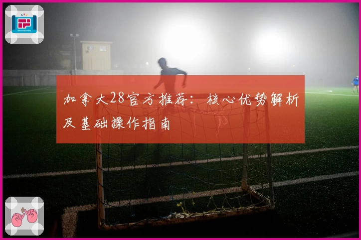 加拿大28官方推荐：核心优势解析及基础操作指南