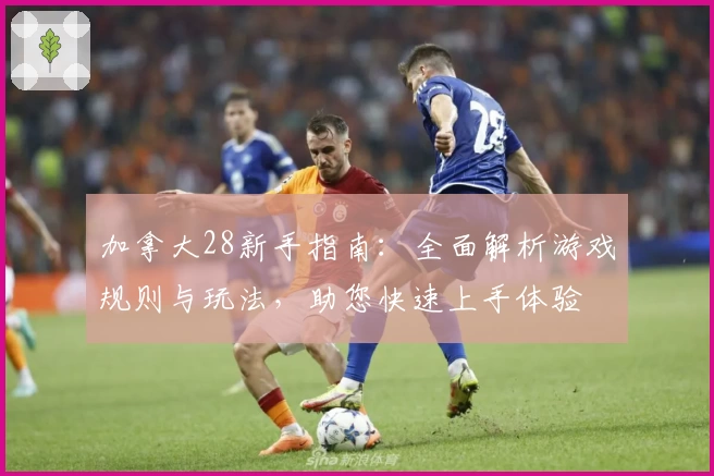 加拿大28新手指南：全面解析游戏规则与玩法，助您快速上手体验