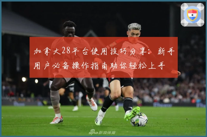 加拿大28平台使用技巧分享：新手用户必备操作指南助你轻松上手