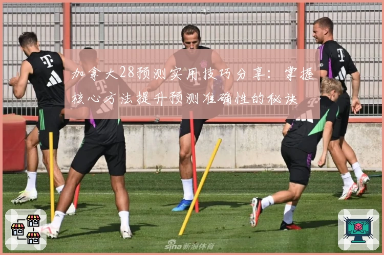 加拿大28预测实用技巧分享:掌握核心方法提升预测准确性的秘诀