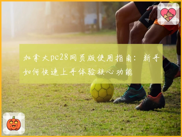 加拿大pc28网页版使用指南：新手如何快速上手体验核心功能