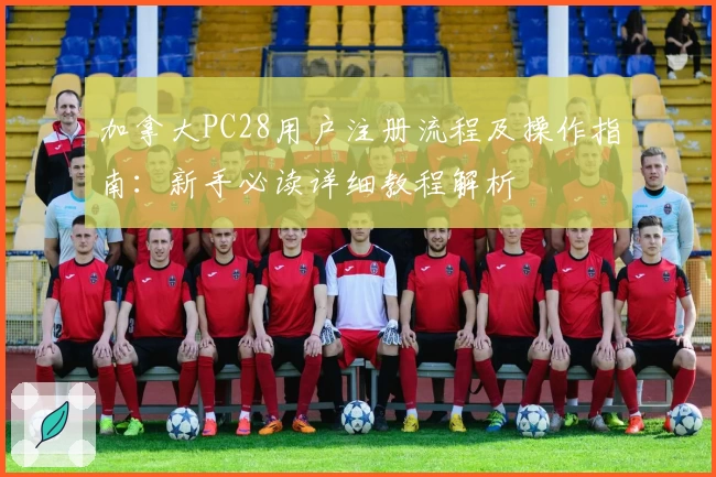 加拿大PC28用户注册流程及操作指南：新手必读详细教程解析