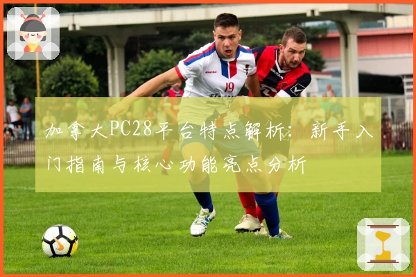加拿大PC28平台特点解析：新手入门指南与核心功能亮点分析