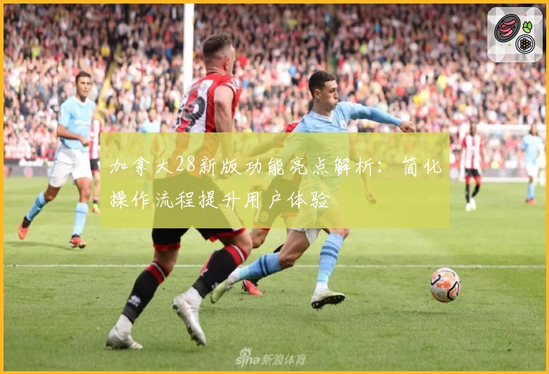 加拿大28新版功能亮点解析：简化操作流程提升用户体验