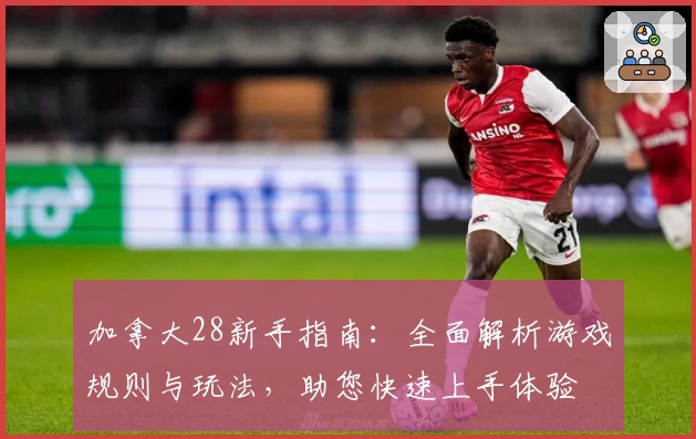 加拿大28新手指南:全面解析游戏规则与玩法,助您快速上手体验