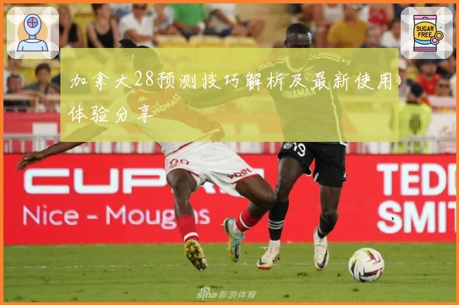 加拿大28预测技巧解析及最新使用体验分享