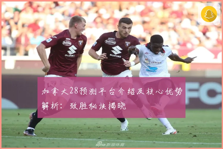 加拿大28预测平台介绍及核心优势解析：致胜秘诀揭晓